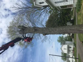 image.webp image.webp