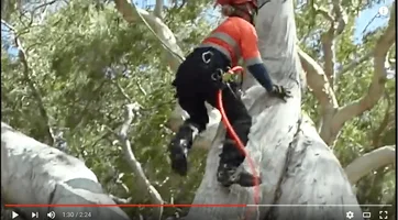 Screen Shot 2016-05-17 at 6.49.00 PM.webp