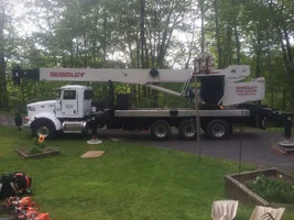 image.webp image.webp