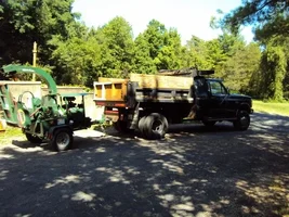 DSC00420 (640x480).webp