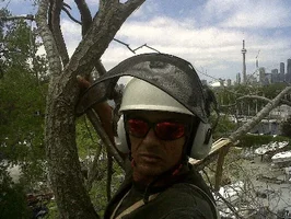 2016-05-27 20.21.21.webp 2016-05-27 20.21.21.webp