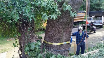 2016-05-27 21.22.03.webp