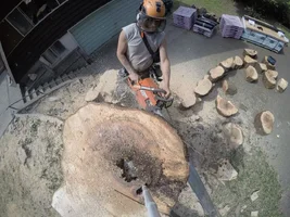 G0043011 (1024x768).webp