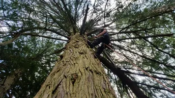 2016-05-27 21.22.50.webp