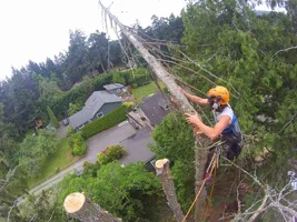 TL000355 (1024x768).webp