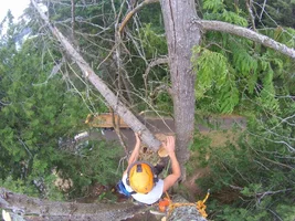 TL000481 (1024x768).webp