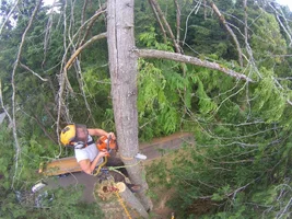 TL000623 (1024x768).webp