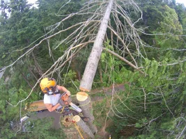 TL000624 (1024x768).webp