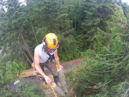 TL000643 (1024x768).webp