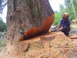 TL000848 (1024x768).webp