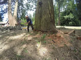 G0073997 (1024x768).webp