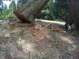 G0074087 (1024x768).webp