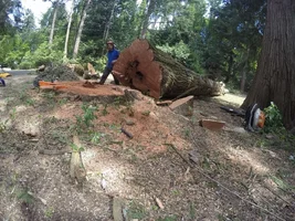 G0074106 (1024x768).webp