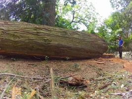 TL000559 (1024x768).webp