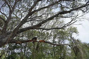 2016-05-29 16.48.38.webp