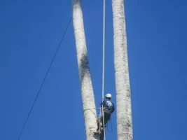 2016-05-29 17.08.31.webp