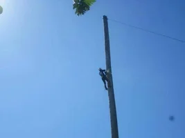 2016-05-29 17.08.07.webp