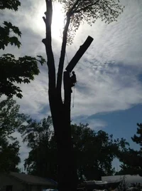 2016-05-29 17.13.05.webp