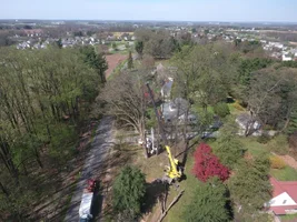 strobert crane 2.webp