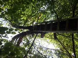 2015-09-08 15.09.34.webp