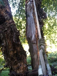 2015-09-12 10.13.02.webp