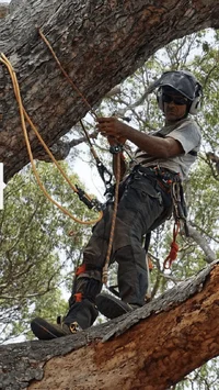 2016-06-10 23.27.06.webp