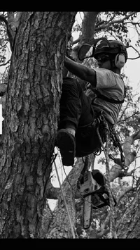 2016-06-10 23.58.46.webp