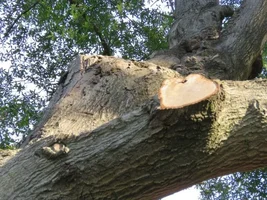 IMG_3425 (Small).webp