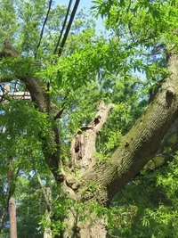 IMG_3445 (Small).webp