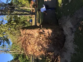 image.webp image.webp