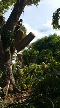 2016-07-02 19.04.55.webp