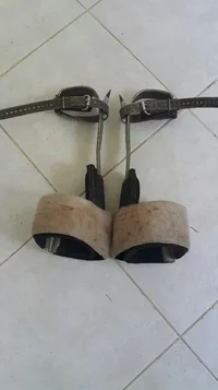 2016-07-03 08.59.12.webp