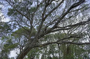 2016-07-03 22.22.59.webp