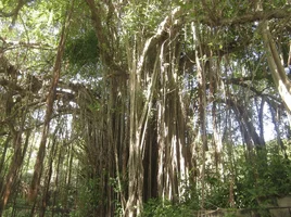 2016-07-03 22.22.04.webp