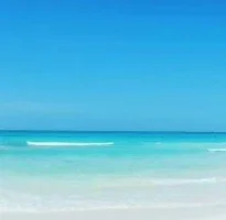 2016-07-05 16.33.02.webp