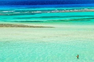 2016-07-05 18.43.30.webp