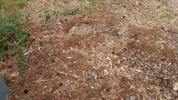 IMG_20160630_093859245 (1).webp