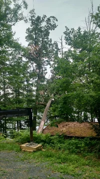 spofford lake 1.webp