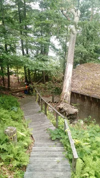 spofford lake 3.webp