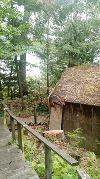 spofford lake 4.webp