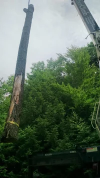 spofford lake 5.webp