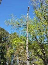 20160417_154310 - Copy.webp