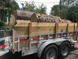 Photo Jul 12, 1 55 56 PM.webp