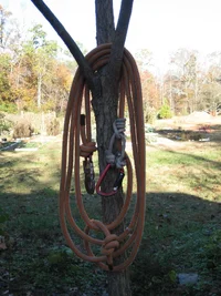 Lanyard inexpensive resized.webp