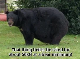 really-fat-bear.webp