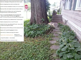 20140723_083321_resized - Copy.webp