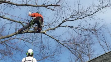 20160323_160915.webp 20160323_160915.webp