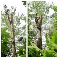 image.webp image.webp