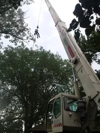 20160729_075336.webp 20160729_075336.webp