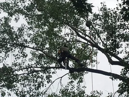 20160729_090855.webp 20160729_090855.webp